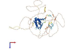AlphaFold protein structure predicition of Mouse Recombinant Tagap Protein, UniprotID B2RWW0