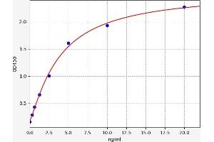 Typical standard curve (REPIN1 Kit ELISA)