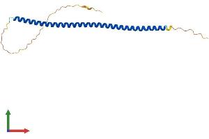 AlphaFold protein structure predicition of Mouse Recombinant Syce2 Protein, UniprotID Q505B8