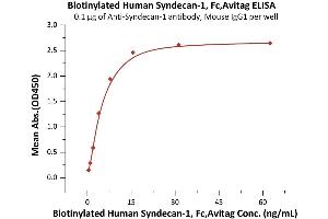 Immobilized Acan-1 antibody, Mouse IgG1 at 1 μg/mL (100 μL/well) can bind Biotinylated Human Syndecan-1, Fc,Avitag (ABIN6973274) with a linear range of 0.