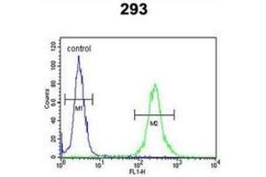 Flow cytometric analysis of 293 cells (right histogram) compared to a negative control cell (left histogram) using MRAP Antibody (N-term), followed by FITC-conjugated goat-anti-rabbit secondary antibodies. (MRAP anticorps  (N-Term))