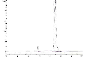 The purity of Human TSLPR is greater than 95 % as determined by SEC-HPLC.