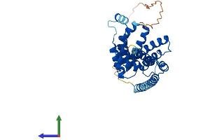 AlphaFold protein structure predicition of Human Recombinant RMDN1 Protein, UniprotID Q96DB5