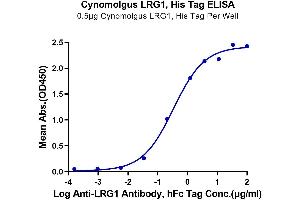 Immobilized Cynomolgus LRG1, His Tag at 5 μg/mL (100 μL/well) on the plate.