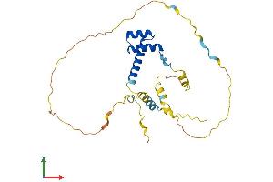 AlphaFold protein structure predicition of Mouse Recombinant Emx2 Protein, UniprotID Q04744