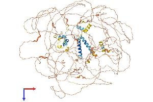 AlphaFold protein structure predicition of Mouse Recombinant Bcl9l Protein, UniprotID Q67FY2