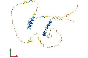 AlphaFold protein structure predicition of Mouse Recombinant Frat2 Protein, UniprotID Q8K025