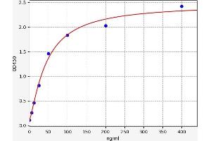 Amyloid P Component, Serum (APCS) ELISA Kit