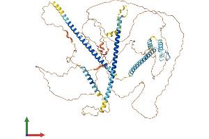 AlphaFold protein structure predicition of Mouse Recombinant Ccdc15 Protein, UniprotID Q8C9M2