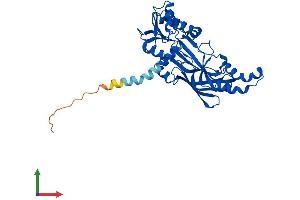 AlphaFold protein structure predicition of Human Recombinant PRMT6 Protein, UniprotID Q96LA8