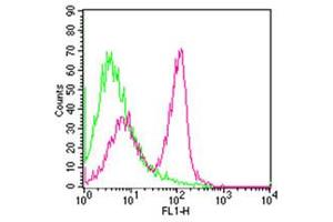 Flow Cytometry - Hamster anti-MOUSE CD3 FITC Cell Surface Flow Cytometry of Hamster anti-MOUSE CD3 antibody Fluorescein conjugated.