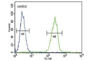 Flow Cytometry (FACS) image for anti-Serpin Family A Member 7 (SERPINA7) antibody (ABIN3002767) (SERPINA7 anticorps)