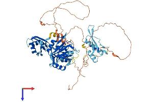 AlphaFold protein structure predicition of Mouse Recombinant A1cf Protein, UniprotID Q5YD48