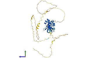 AlphaFold protein structure predicition of Mouse Recombinant Sash3 Protein, UniprotID Q8K352