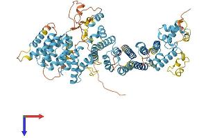 AlphaFold protein structure predicition of Mouse Recombinant Cenpi Protein, UniprotID Q8K1K4