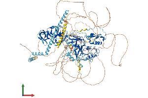 AlphaFold protein structure predicition of Mouse Recombinant Setdb1 Protein, UniprotID O88974