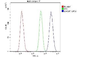 Flow Cytometry analysis of U20S cells using anti-EWSR1 antibody (ABIN3043825). (EWSR1 anticorps  (Middle Region))
