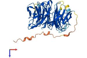 AlphaFold protein structure predicition of Human Recombinant WDR89 Protein, UniprotID Q96FK6