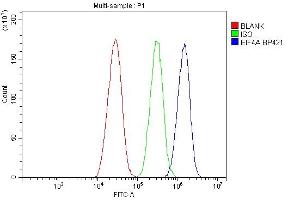 Flow Cytometry analysis of HepG2 cells using anti-EIF4A antibody (ABIN7601309). (EIF4A1 anticorps  (AA 32-406))