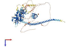AlphaFold protein structure predicition of Human Recombinant CCAR2 Protein, UniprotID Q8N163