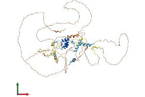 AlphaFold protein structure predicition of Mouse Recombinant Fbxo34 Protein, UniprotID Q80XI1