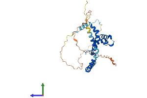 AlphaFold protein structure predicition of Human Recombinant IQCK Protein, UniprotID Q8N0W5