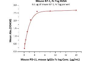 Immobilized Mouse B7-1, Fc Tag (ABIN2870712,ABIN2870713) at 5 μg/mL (100 μL/well) can bind Mouse PD-L1, mouse IgG2a Fc tag, low endotoxin (ABIN4949184,ABIN4949185) with a linear range of 0. (CD80 Protein (CD80) (AA 38-245) (Fc Tag))