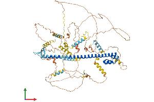AlphaFold protein structure predicition of Human Recombinant NFE2L1 Protein, UniprotID Q14494