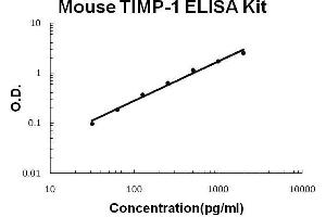 Mouse TIMP-1 PicoKine ELISA Kit standard curve