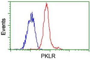 Flow cytometric Analysis of Jurkat cells, using anti-PKLR antibody (ABIN2453478), (Red), compared to a nonspecific negative control antibody (ABIN2453478), (Blue). (PKLR anticorps)