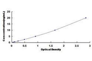 Complement Factor D (CFD) ELISA Kit