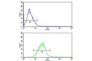 PIN1 antibody FACS analysis of MCF-7 cells (green) compared to a negative control (blue).