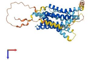 AlphaFold protein structure predicition of Human Recombinant SLC39A13 Protein, UniprotID Q96H72