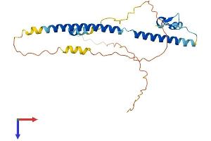AlphaFold protein structure predicition of Human Recombinant SFR1 Protein, UniprotID Q86XK3