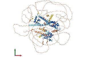 AlphaFold protein structure predicition of Human Recombinant BRD8 Protein, UniprotID Q9H0E9