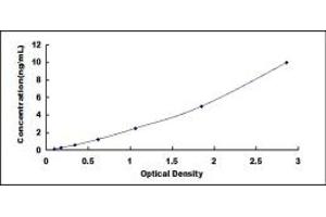 Typical standard curve (Involucrin Kit ELISA)
