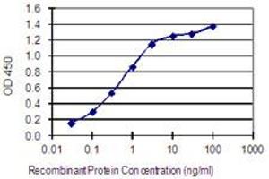 Detection limit for recombinant GST tagged GJA8 is 0.