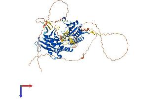 AlphaFold protein structure predicition of Human Recombinant PIP5K1A Protein, UniprotID Q99755