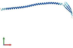 AlphaFold protein structure predicition of Mouse Recombinant Iqcf5 Protein, UniprotID Q9DAL7