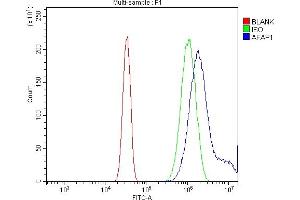 Flow Cytometry analysis of U20S cells using anti-AFAP/AFAP1 antibody (ABIN7601861). (AFAP anticorps  (AA 498-730))