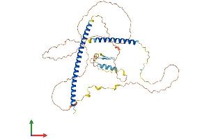 AlphaFold protein structure predicition of Human Recombinant TANK Protein, UniprotID Q92844