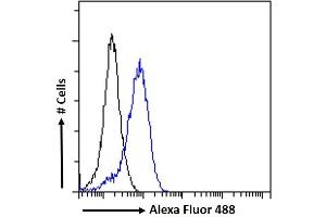 (ABIN302176) Flow cytometric analysis of paraformaldehyde fixed A431 cells (blue line), permeabilized with 0. (APOLD1 anticorps  (C-Term))
