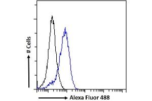 (ABIN302176) Flow cytometric analysis of paraformaldehyde fixed A431 cells (blue line), permeabilized with 0.