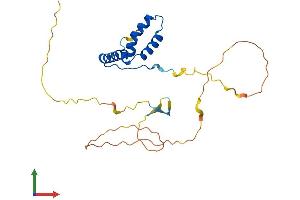 AlphaFold protein structure predicition of Mouse Recombinant Sox14 Protein, UniprotID Q04892
