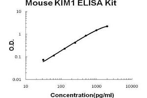 Mouse KIM1 PicoKine ELISA Kit standard curve (HAVCR1 Kit ELISA)