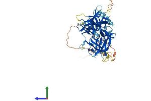 AlphaFold protein structure predicition of Mouse Recombinant Rbpjl Protein, UniprotID O08674