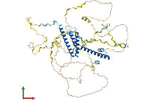AlphaFold protein structure predicition of Human Recombinant WBP11 Protein, UniprotID Q9Y2W2