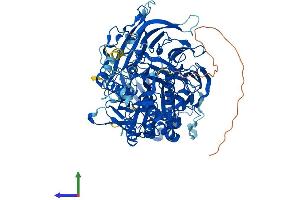 AlphaFold protein structure predicition of Human Recombinant DPP8 Protein, UniprotID Q6V1X1
