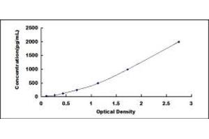 Typical standard curve (IL1R1 Kit ELISA)