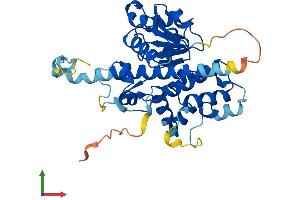 AlphaFold protein structure predicition of Human Recombinant NOXRED1 Protein, UniprotID Q6NXP6